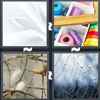 4 Pics 1 Word level 1626 