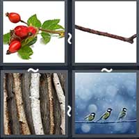 4 Pics 1 Word level 1700 