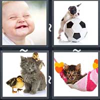 4 Pics 1 Word level 28-1 4 Letters