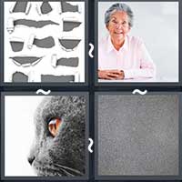 4 Pics 1 Word level 28-4 4 Letters