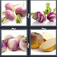 4 Pics 1 Word level 24-5 6 Letters