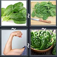 4 Pics 1 Word level 21-8 7 Letters