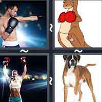 4 Pics 1 Word level 1922 