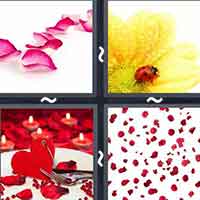 4 Pics 1 Word level 28-3 6 Letters