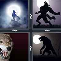 4 Pics 1 Word level 2019 
