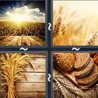 4 Pics 1 Word level 31-12 5 Letters