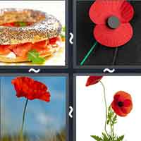 4 Pics 1 Word level 31-15 5 Letters