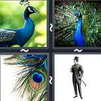 4 Pics 1 Word level 2076 