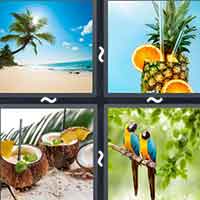 4 Pics 1 Word level 16-4 8 Letters