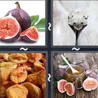 4 Pics 1 Word level 10-4 3 Letters