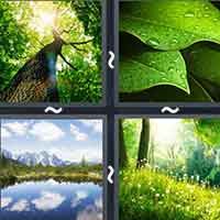 4 Pics 1 Word level 30-2 6 Letters