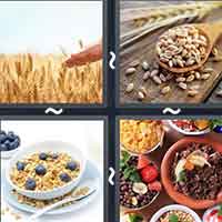 4 Pics 1 Word level 30-4 6 Letters