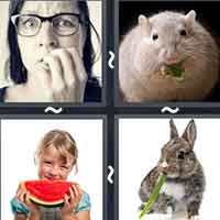 4 Pics 1 Word level 30-6 6 Letters