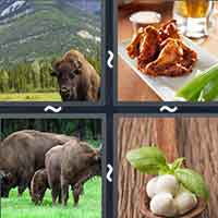 4 Pics 1 Word level 2133 