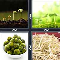 4 Pics 1 Word level 2142 