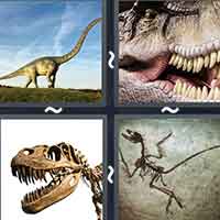 4 Pics 1 Word level 2144 
