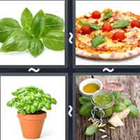 4 Pics 1 Word level 33-6 5 Letters