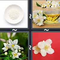 4 Pics 1 Word level 26-10 7 Letters