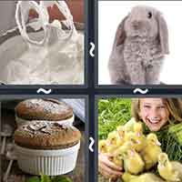 4 Pics 1 Word level 31-11 6 Letters