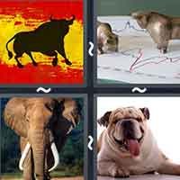 4 Pics 1 Word level 31-4 4 Letters
