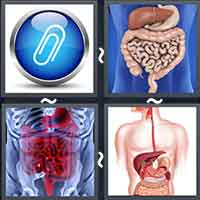 4 Pics 1 Word level 18-5 8 Letters