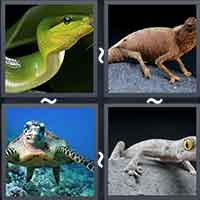 4 Pics 1 Word level 28-7 7 Letters