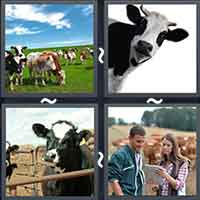 4 Pics 1 Word level 32-10 6 Letters
