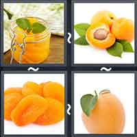 4 Pics 1 Word level 2313 