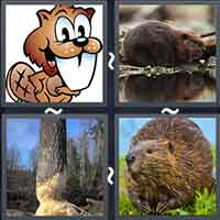 4 Pics 1 Word level 2327 