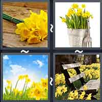 4 Pics 1 Word level 18-15 8 Letters