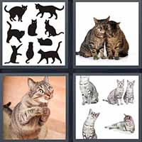 4 Pics 1 Word level 2391 