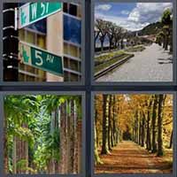 4 Pics 1 Word level 2395 