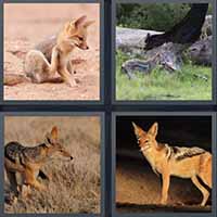 4 Pics 1 Word level 2396 