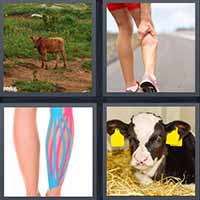 4 Pics 1 Word level 2401 