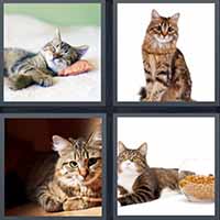 4 Pics 1 Word level 37-1 5 Letters