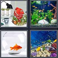 4 Pics 1 Word level 19-13 8 Letters