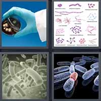 4 Pics 1 Word level 19-14 8 Letters