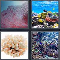 4 Pics 1 Word level 37-6 5 Letters