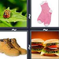 4 Pics 1 Word level 2444 