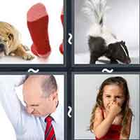 4 Pics 1 Word level 38-8 5 Letters