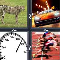 4 Pics 1 Word level 2512 
