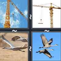 4 Pics 1 Word level 38-12 5 Letters