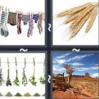 4 Pics 1 Word level 12-3 3 Letters