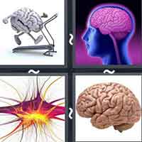 4 Pics 1 Word level 39-2 5 Letters