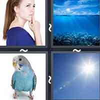 4 Pics 1 Word level 2562 