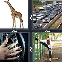 4 Pics 1 Word level 2564 