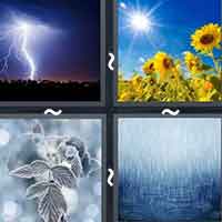 4 Pics 1 Word level 31-5 7 Letters
