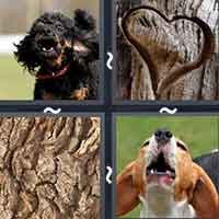 4 Pics 1 Word level 2599 