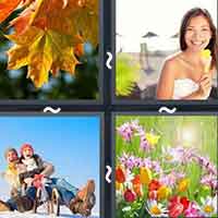 4 Pics 1 Word level 31-8 7 Letters