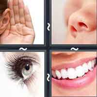 4 Pics 1 Word level 2611 